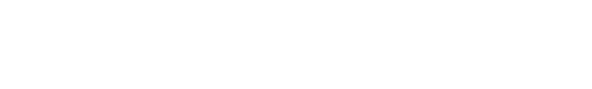 The Connection Network